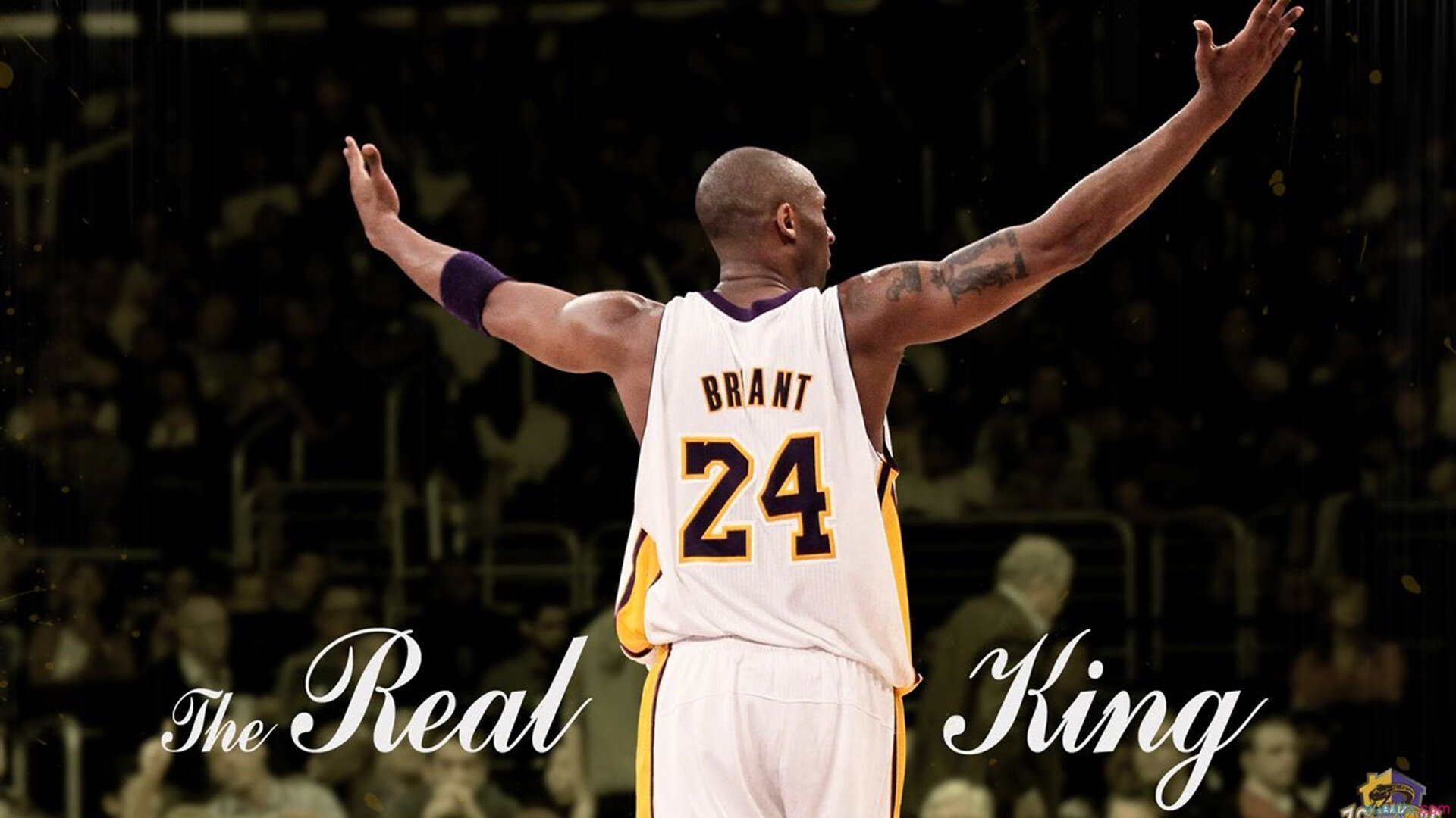 里昂队内气氛融洽，冲击更高目标，里昂队服